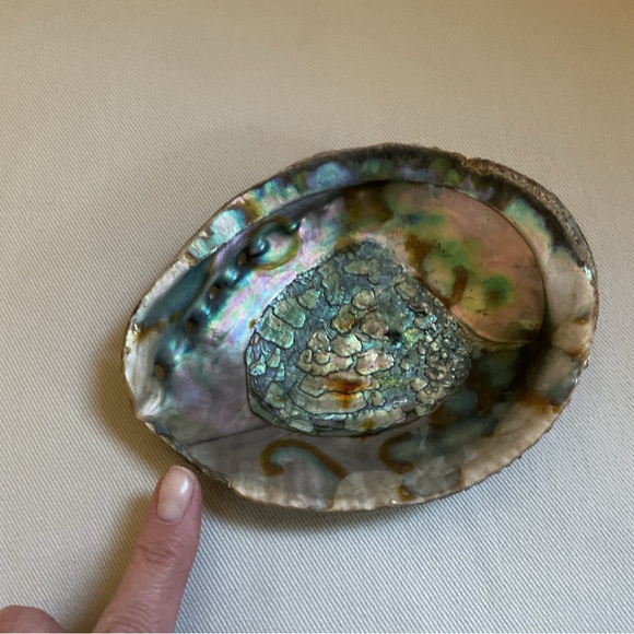 Abalone Shell Bowl + Sage Smudge Stick + Feather *3 Piece Set - Picture 9 of 9